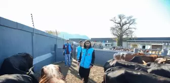 TDV, Mozambik'te Kurban Kesim Hazırlıklarını Tamamladı