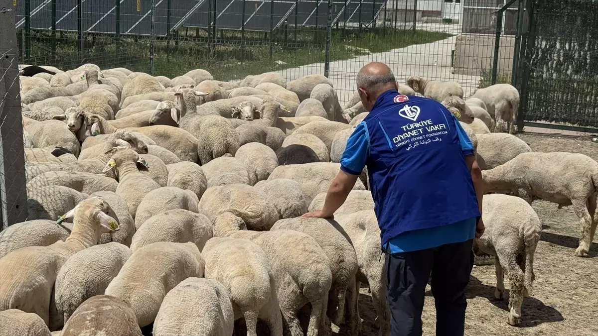 Konya'da 4025 Kurban Hissesi İhtiyaç Sahiplerine Dağıtılacak