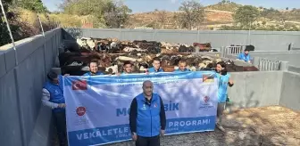 Türkiye Diyanet Vakfı, Mozambik'te Vekaletle Kurban Kesimine Başladı