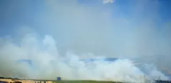 Tekirdağ'da Yangın İle Mücadele Ediliyor