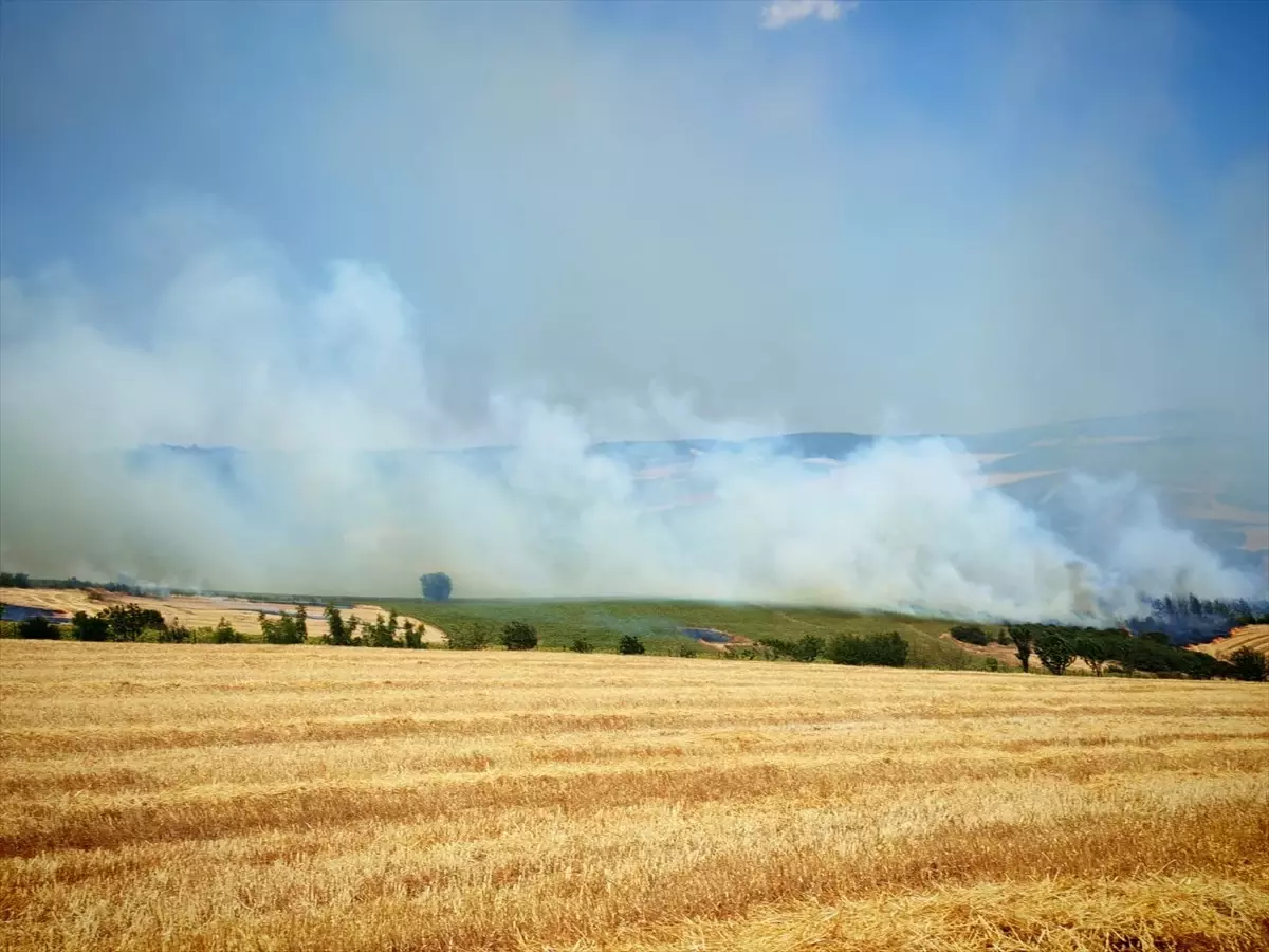 Tekirdağ'da Yangın İle Mücadele Ediliyor