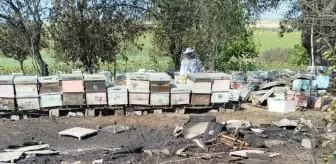 Tekirdağ'da Anız Yangını 400 Arı Kovanını Zarar Gördü