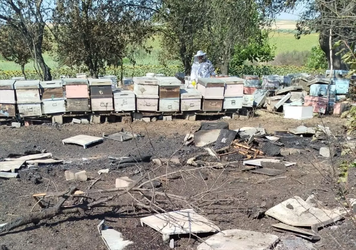 Tekirdağ'da Anız Yangını 400 Arı Kovanını Zarar Gördü