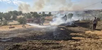 Tekirdağ'da Anız Yangını 60 Dekar Alanı Harap Etti