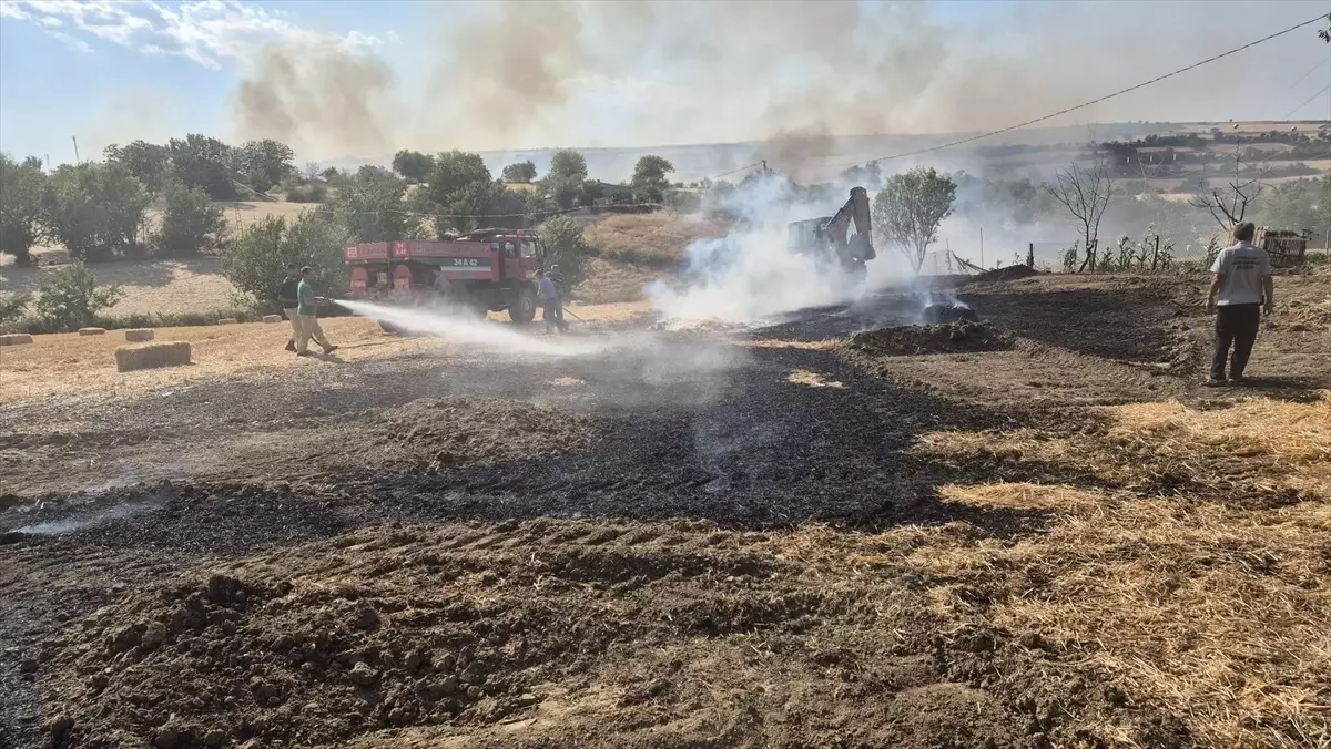 Tekirdağ'da Anız Yangını 60 Dekar Alanı Harap Etti