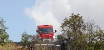 Tekirdağ'da Anız Yangını Ormana Sıçradı