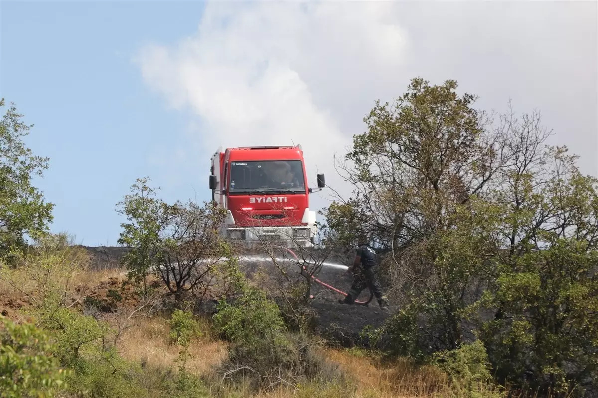 Tekirdağ'da Anız Yangını Ormana Sıçradı