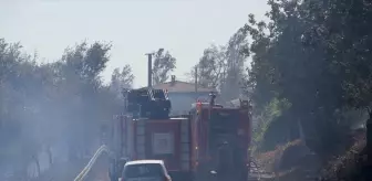 Tekirdağ'da Anız Yangını Ağaçlık Alana Sıçradı