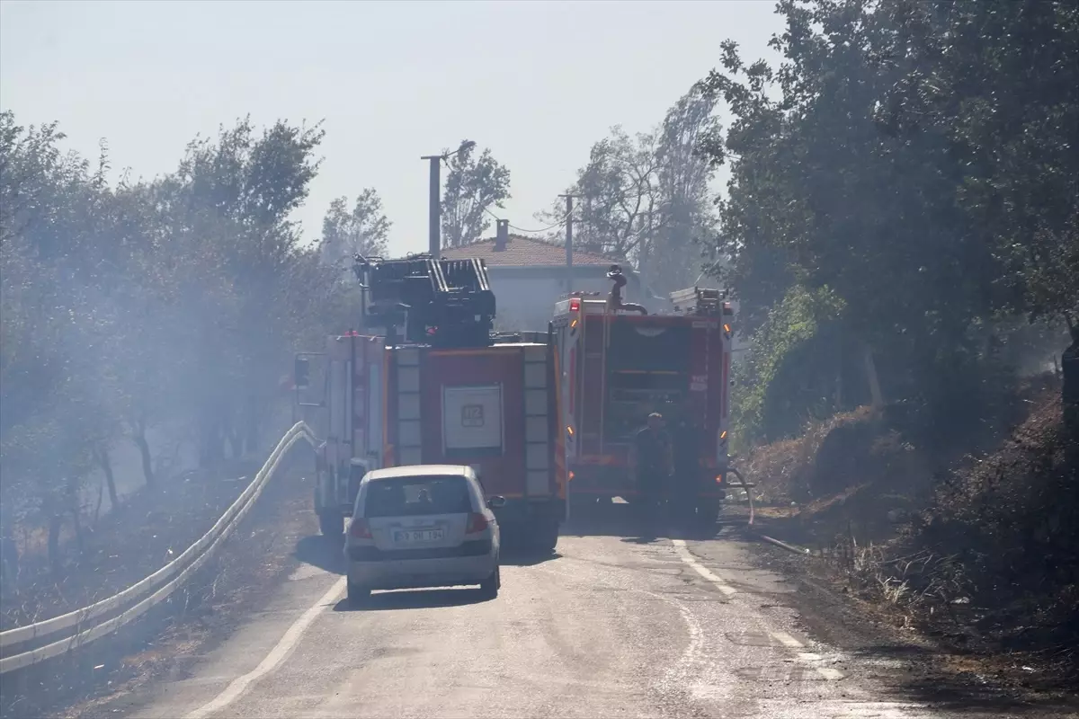 Tekirdağ'da Anız Yangını Ağaçlık Alana Sıçradı