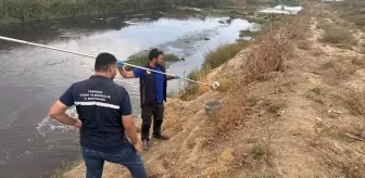Tekirdağ'da Atık Su Krizi: Çorlu Çayı'na Arıtılmadan Deşarj Edildi