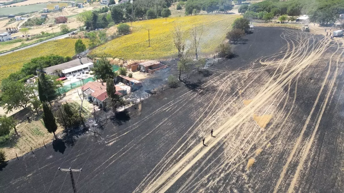 Tekirdağ'da Buğday Tarlasında Yangın: İki Ev Hasar Gördü