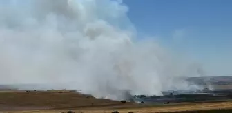Tekirdağ'da Anız Yangını Kontrol Altına Alındı