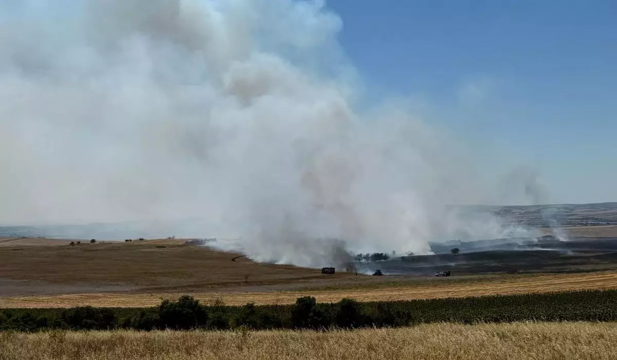 Tekirdağ'da Anız Yangını Kontrol Altına Alındı
