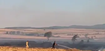 Tekirdağ'da Anız Yangını Kontrol Altına Alındı