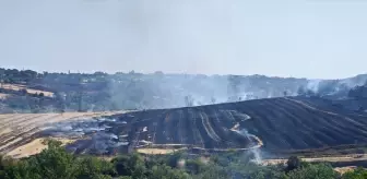 Malkara'da Anız Yangını Kontrol Altına Alındı