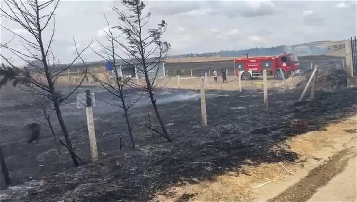 Tekirdağ'da Anız Yangını: 200 Dönüm Tarım Arazisi Zarar Gördü