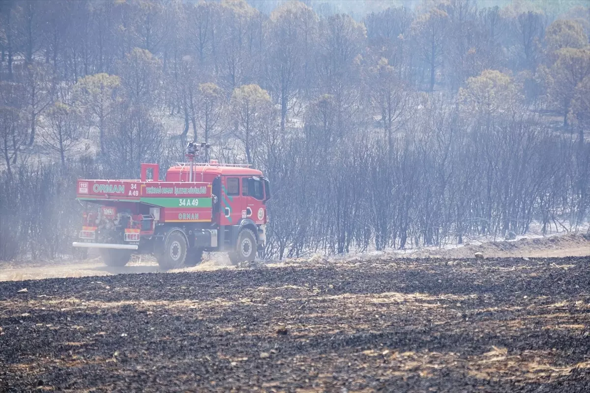 Tekirdağ'da Orman Yangınına Hızla Müdahale Ediliyor