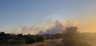 Tekirdağ'da Yangın: 20 Dekar Ağaçlık Alan Zarar Gördü