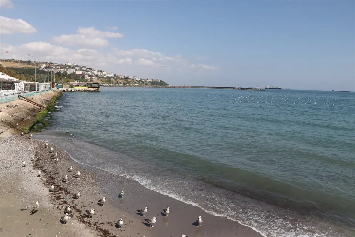 Tekirdağ'da Poyrazın Etkisi Geçti, Deniz Ulaşımı Normale Döndü