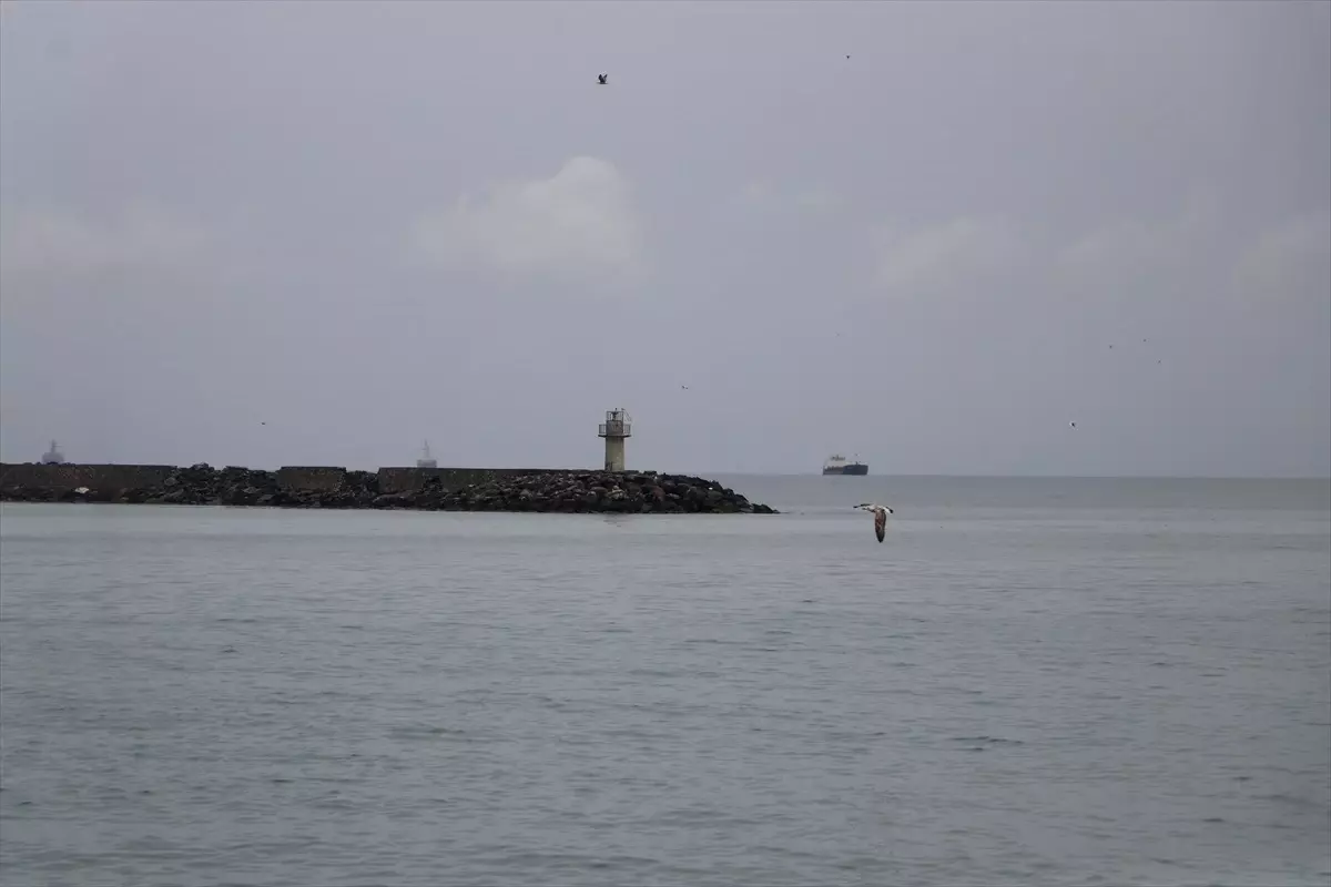 Tekirdağ'da Poyraz Etkisini Yitirdi, Deniz Ulaşımı Normale Döndü