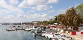 Tekirdağlı Balıkçılar İstavritle Gülüyor