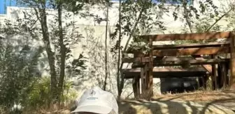 Zübeyde Hanım Huzurevi'nde Anlamlı Etkinlik