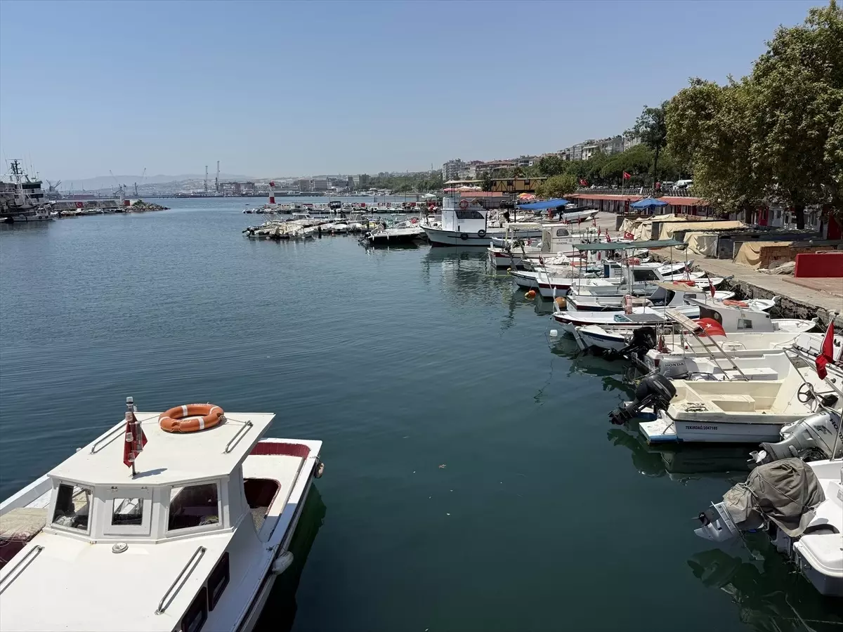 Tekirdağ'da İstavrit Sezonu Açıldı