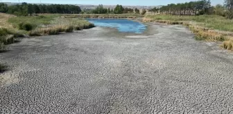 Kırkkepenekli Göleti Kuruma Noktasına Geldi