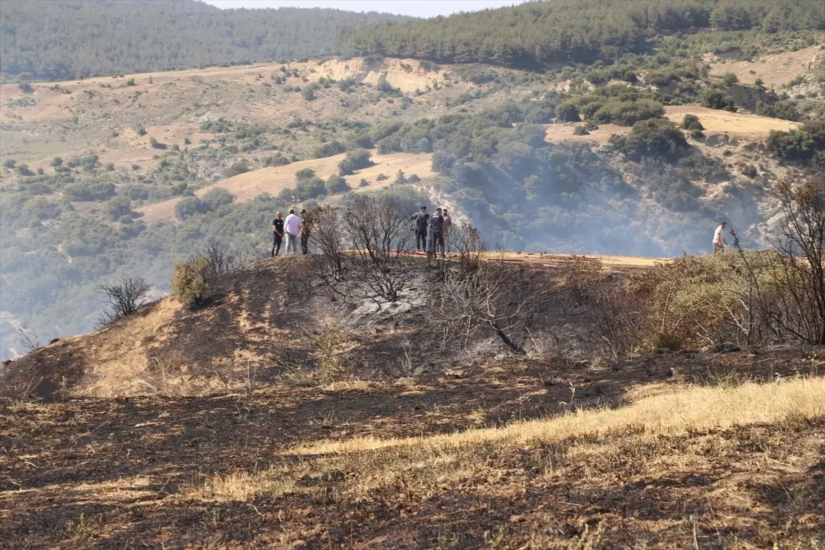 Tekirdağ'da Otluk Alanda Çıkan Yangın Söndürüldü