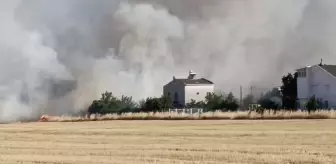 Tekirdağ'da Otluk Alanda Başlayan Yangın Kontrol Altına Alındı