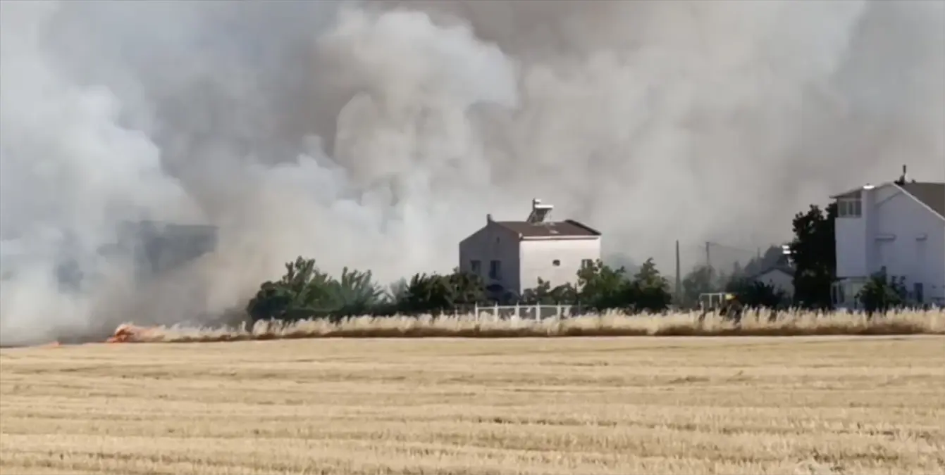 Tekirdağ'da Otluk Alanda Başlayan Yangın Kontrol Altına Alındı