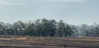 Ergene'de Otluk Alanda Yangın Çıktı