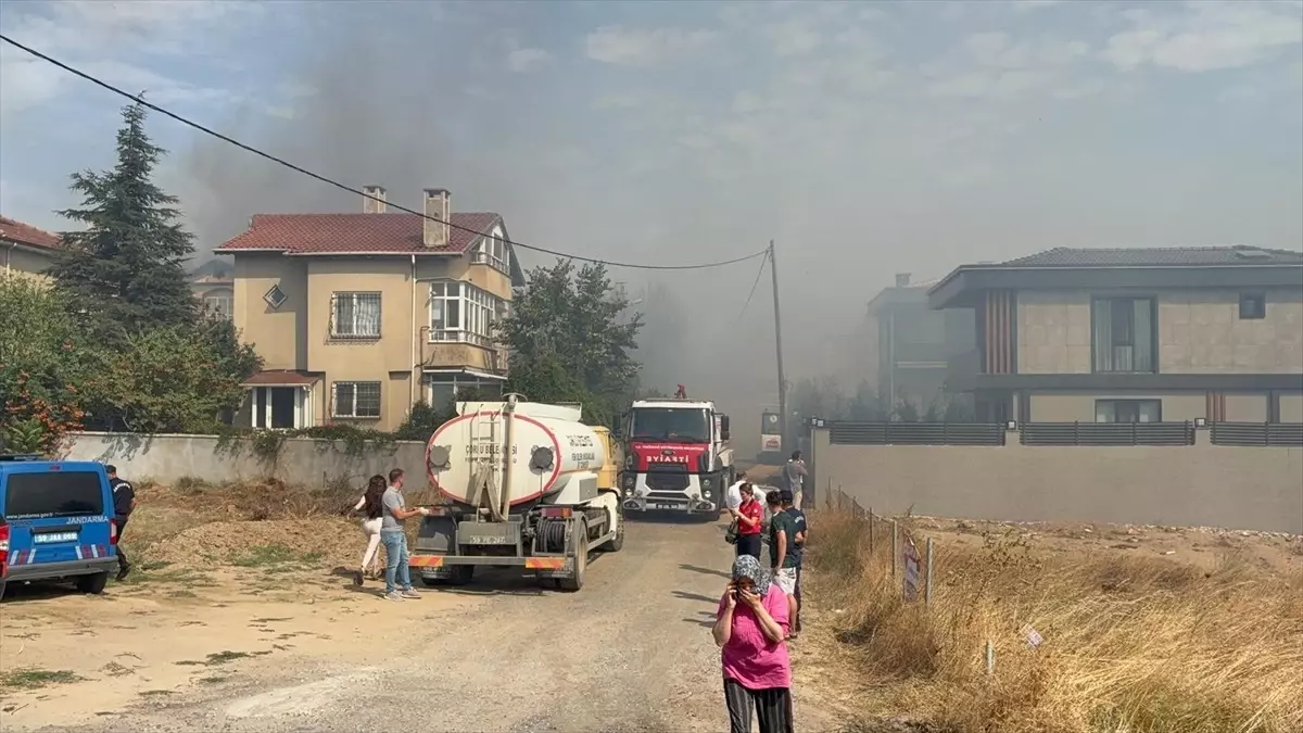 Çorlu'da Otluk Alanda Çıkan Yangın Söndürüldü