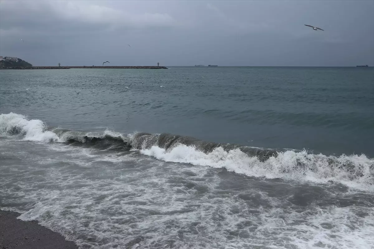 Tekirdağ'da Poyraz, Deniz Ulaşımını Aksattı