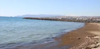 Tekirdağ'da Kuvvetli Rüzgar Kırmızı Yosun Birikmesine Neden Oldu