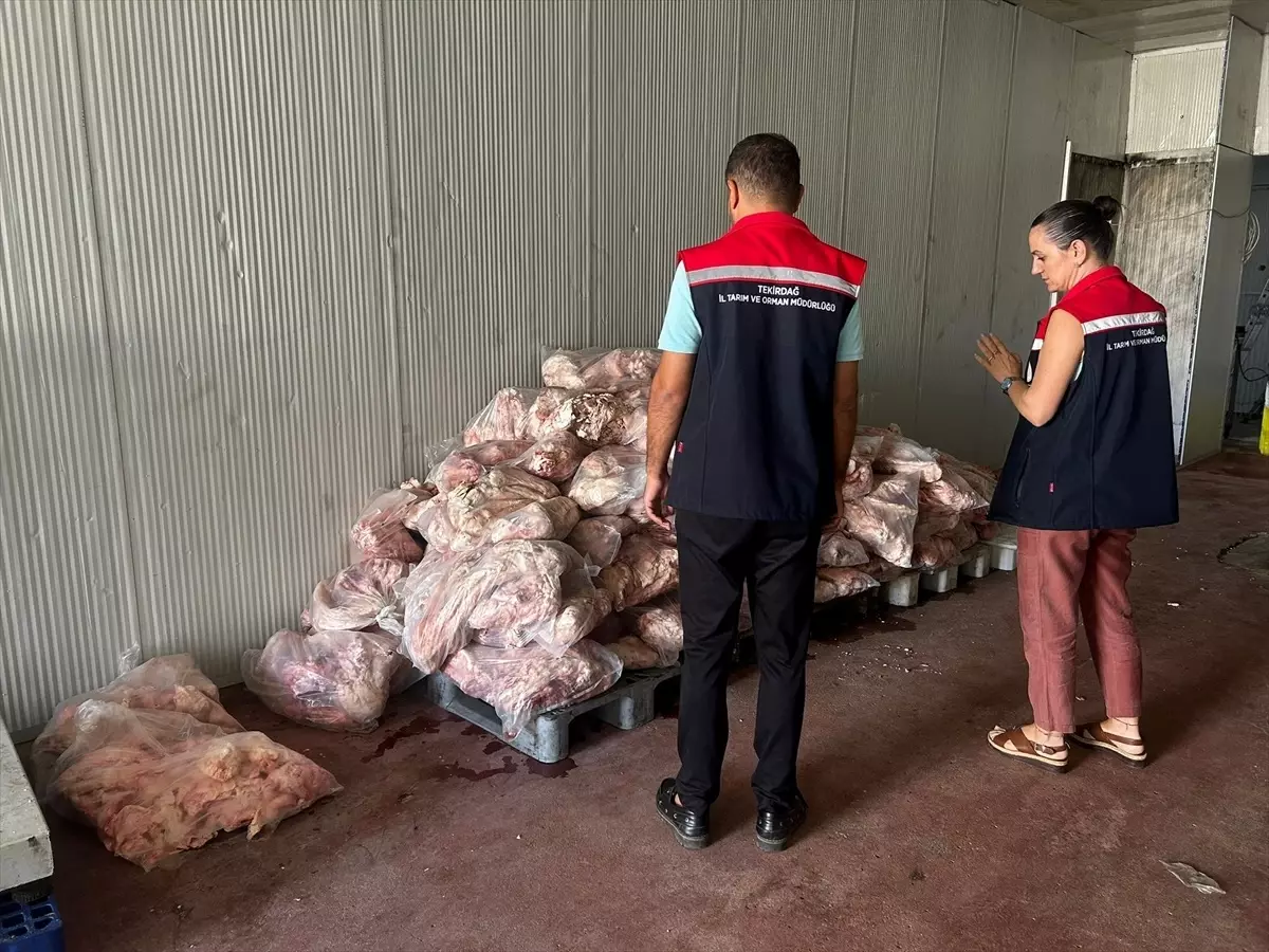 Tekirdağ'da Sağlıksız Gıda Deposu 210 Bin Lira Ceza Aldı