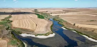 Tekirdağ'da Sarılar Göleti'nin Su Seviyesi Yüzde 25'e Düştü