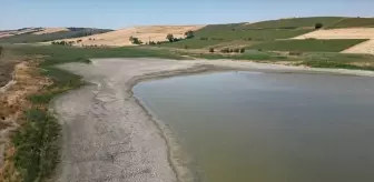 Muratlı'da Kuraklık Nedeniyle Balık Ölümleri Yaşandı