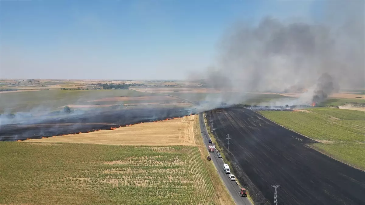 Tekirdağ'da Buğday Tarlasında Yangın Çıktı