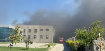 Çorlu'da Tarım Arazisinden Fabrikaya Sıçrayan Yangın Kontrol Altına Alınıyor