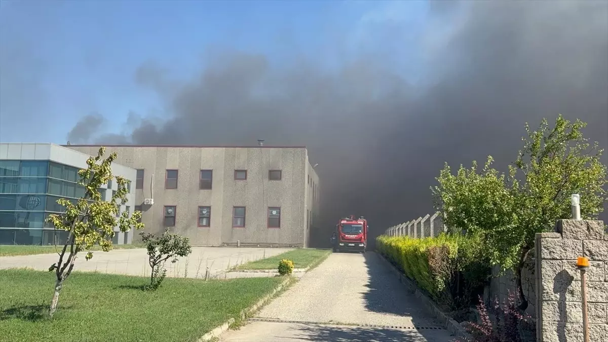 Çorlu'da Tarım Arazisinden Fabrikaya Sıçrayan Yangın Kontrol Altına Alınıyor