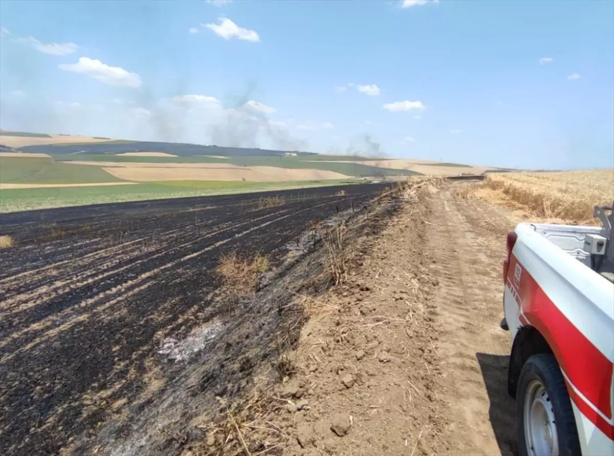 Tekirdağ'da 70 Dönüm Buğday Tarlası Yangında Zarar Gördü