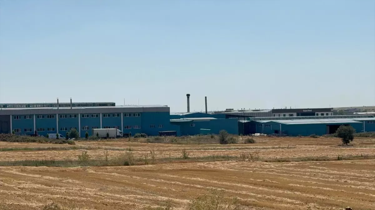 Tekirdağ'da Tekstil Fabrikasında Yangın Çıktı