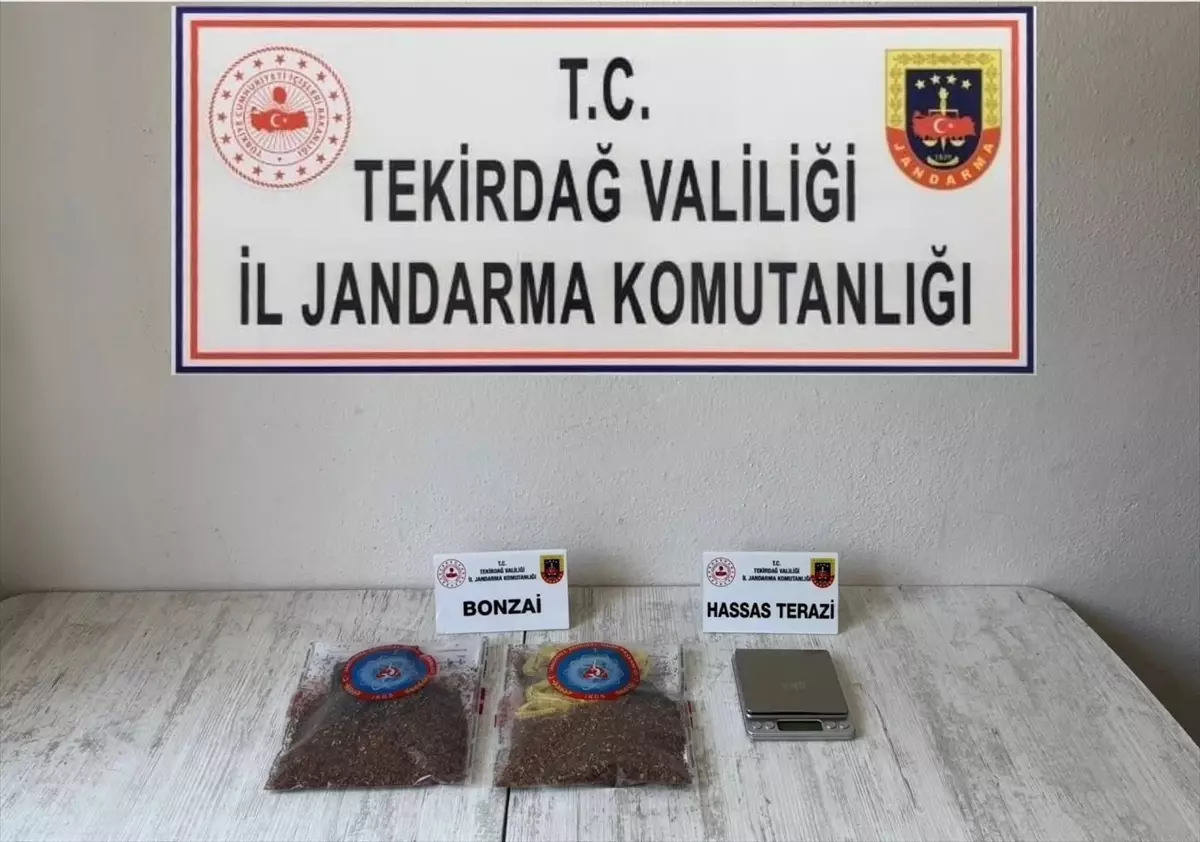 Tekirdağ'da Uyuşturucu Operasyonu: 5 Şüpheli Gözaltına Alındı