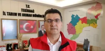 Tekirdağ'da Zirai Don nedeniyle 771 Çiftçiye 46 Milyon Lira Destek