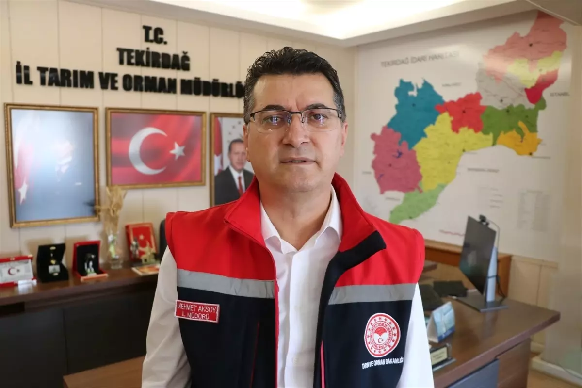 Tekirdağ'da Zirai Don nedeniyle 771 Çiftçiye 46 Milyon Lira Destek