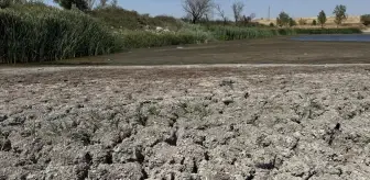 Müsellim Göleti'nde Su Seviyesi Düşüşte