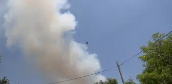 Tekirdağ'daki Orman Yangınına Hızlı Müdahale Devam Ediyor