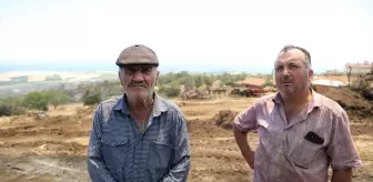 Şarköy'deki Orman Yangını Besicileri Zora Soktu