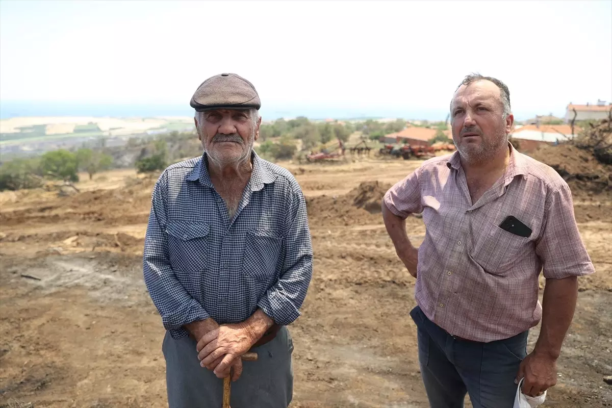 Şarköy'deki Orman Yangını Besicileri Zora Soktu